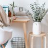 pexels-george-milton-7034717